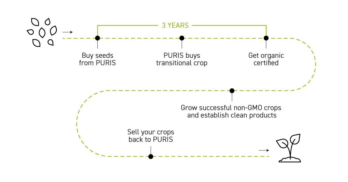 3 year flow chart showing how to buy seeds from PURIS, how PURIS buys crops, and organic certification.