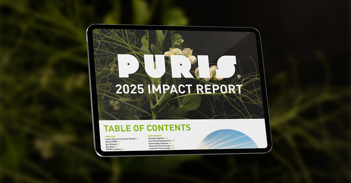 2025-impact-report-mockup-on-pea-background