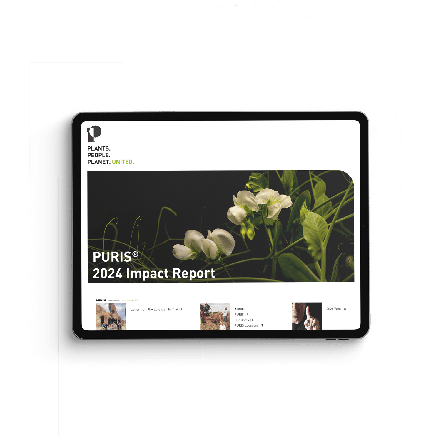 Sustainability Report Mockup