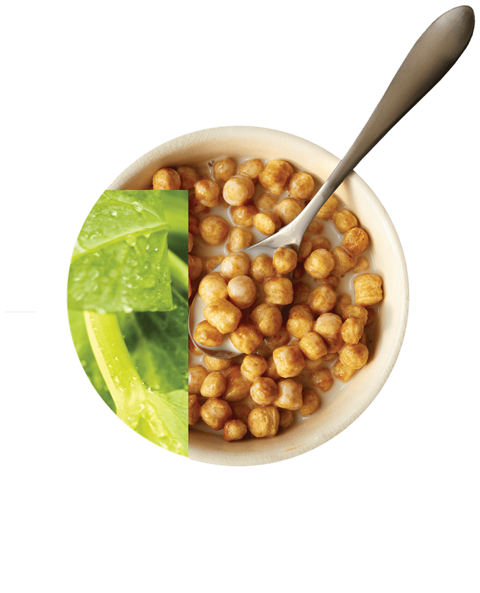 PURIS P logo with yellow field pea leaf and bowl of plant-based cereal.