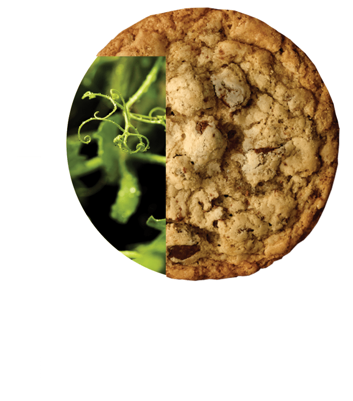 p-header_cookie