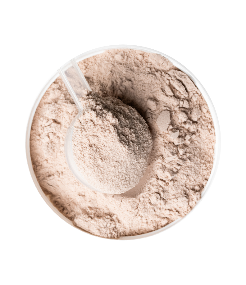 Bowl of protein powder with scoop.